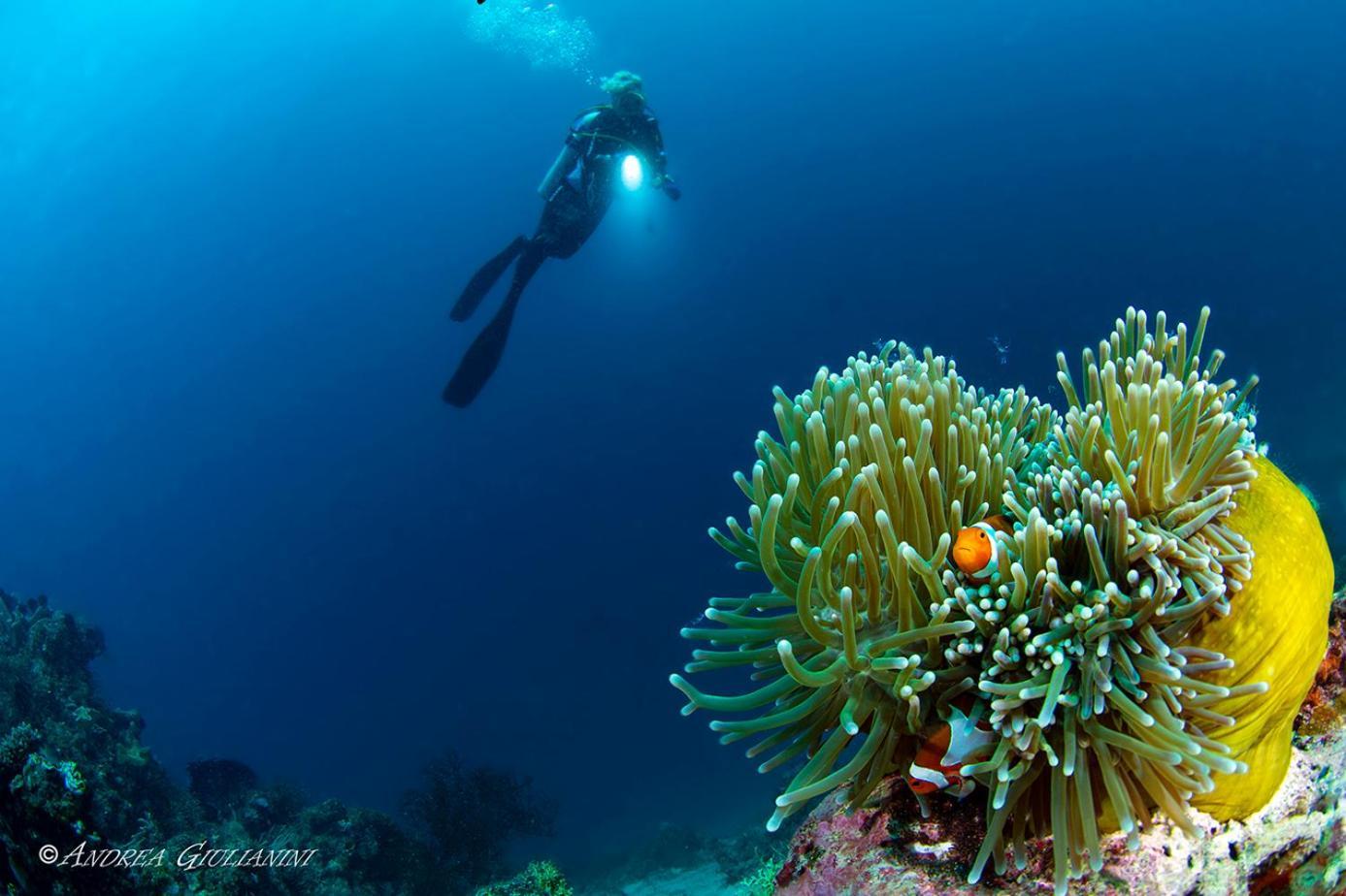 منتجع صنسيت بيتش آند دايف Romblon المظهر الخارجي الصورة